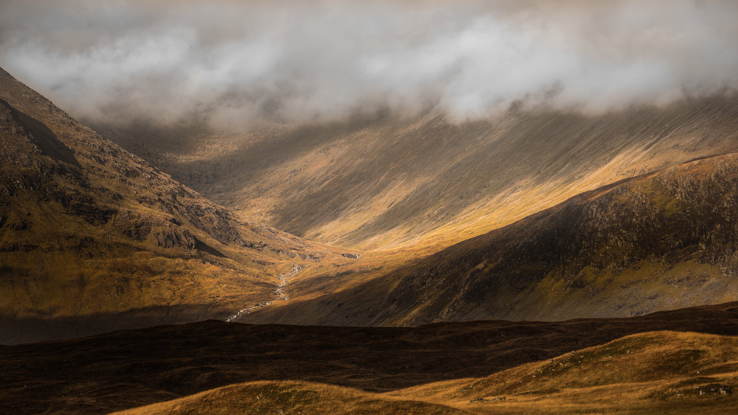 Misty Hills