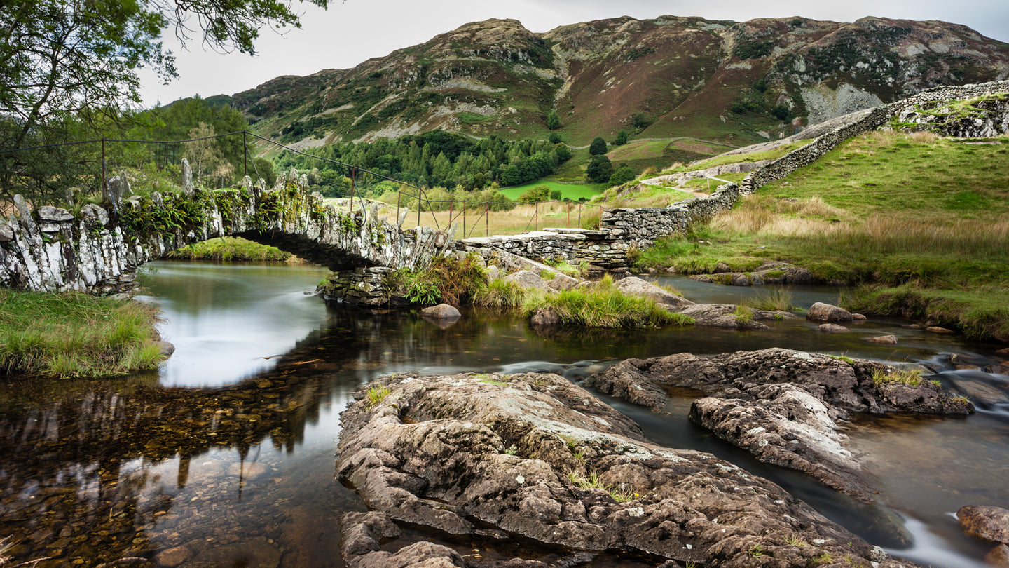 Mossy Bridge