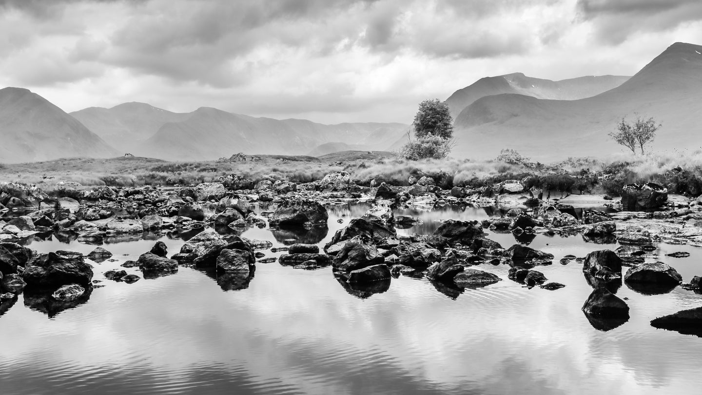 Rannoch Moor - Study 2